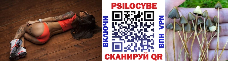 Галлюциногенные грибы мицелий  Купить где  Алушта 